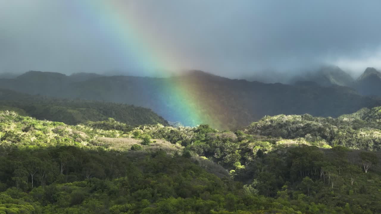 espectacular arcoiris en hawaii, estados unidos. de cerca