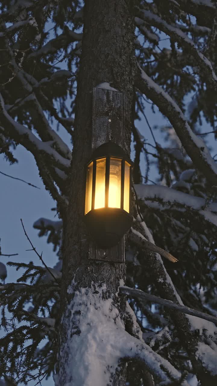 Vista verticale di una calda lanterna che risplende tra abeti coperti di neve in una tranquilla foresta norvegese all'ora blu, creando un'atmosfera invernale accogliente con una luce soffusa contro il paesaggio freddo.