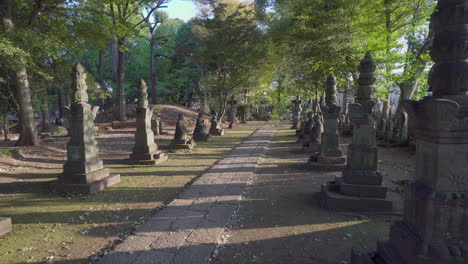 caminando por un templo en tokio, japón, al atardecer