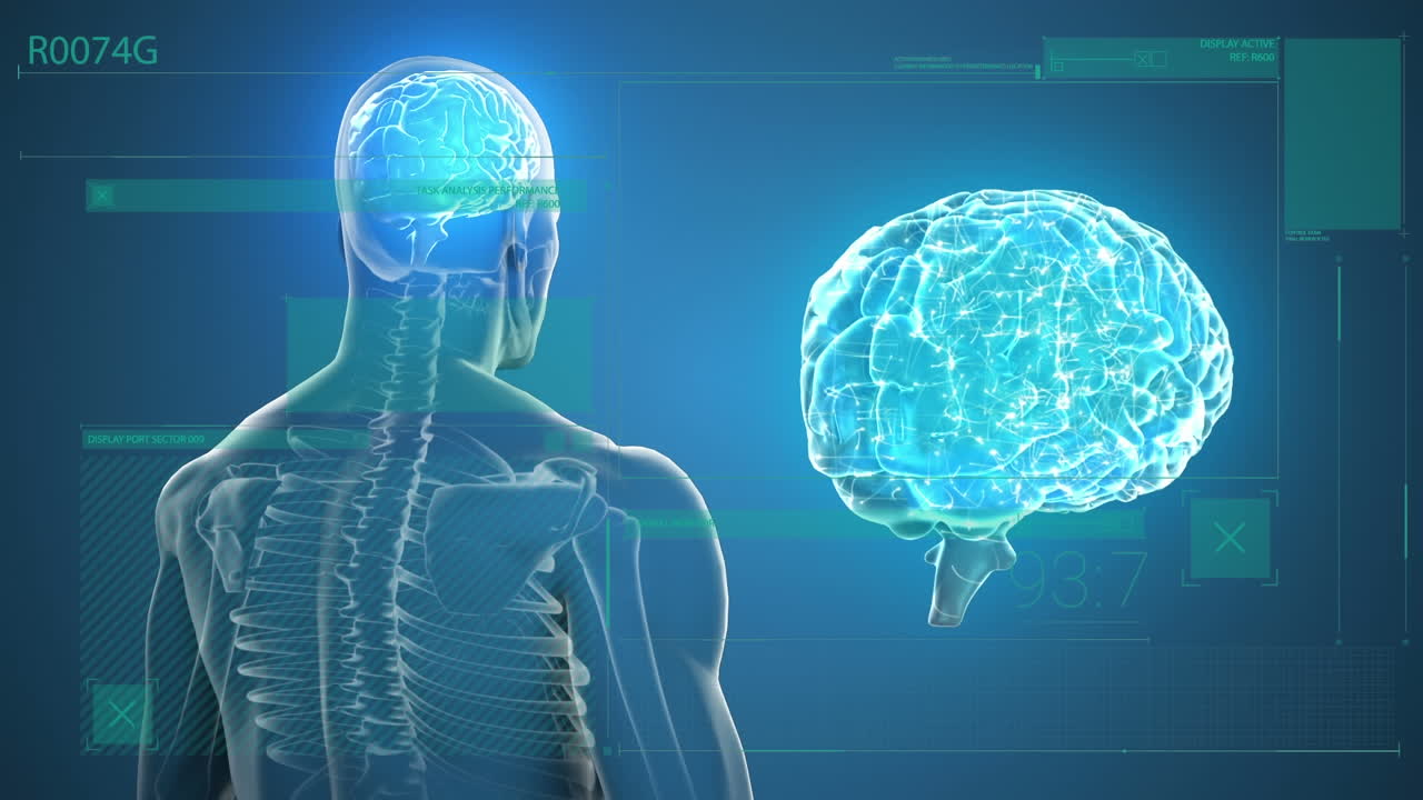 animación del cuerpo humano con cerebro y procesamiento de datos en fondo azul