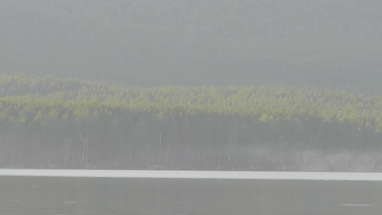 안개 숲 호수 풍경