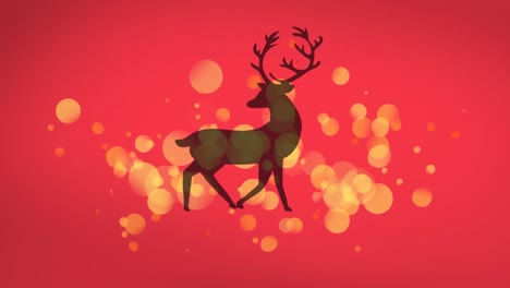 animación de renos sobre luces sobre fondo rojo