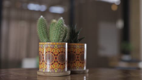 vista cercana de una pequeña planta de cactus en una taza decorativa en una mesa de madera fina