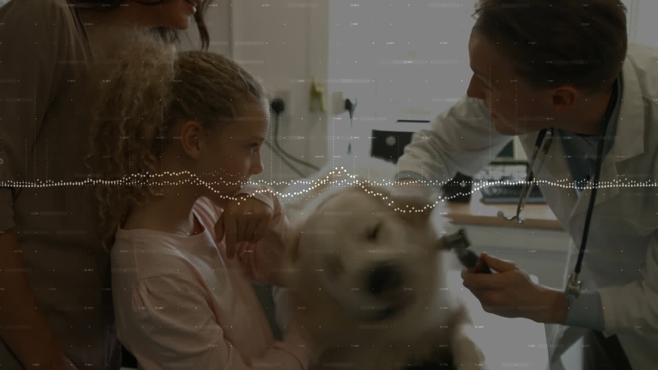 Veterinarian examining dog on exam table, with animated otoscope icon and health data overlay