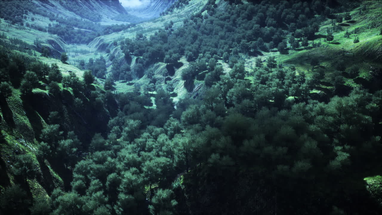 paisajes forestales aéreos europeos