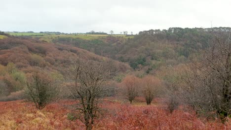 Rich-golden-autumnal-coloured-rural-English-countryside-landscape-view-of-rugged-and-wild-Cheddar-Gorge-in-Somerset,-England