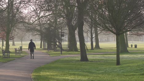 an old man walking in the foggy park in the early morning further away. the trees around him give a lot of shade and a great atmosphere