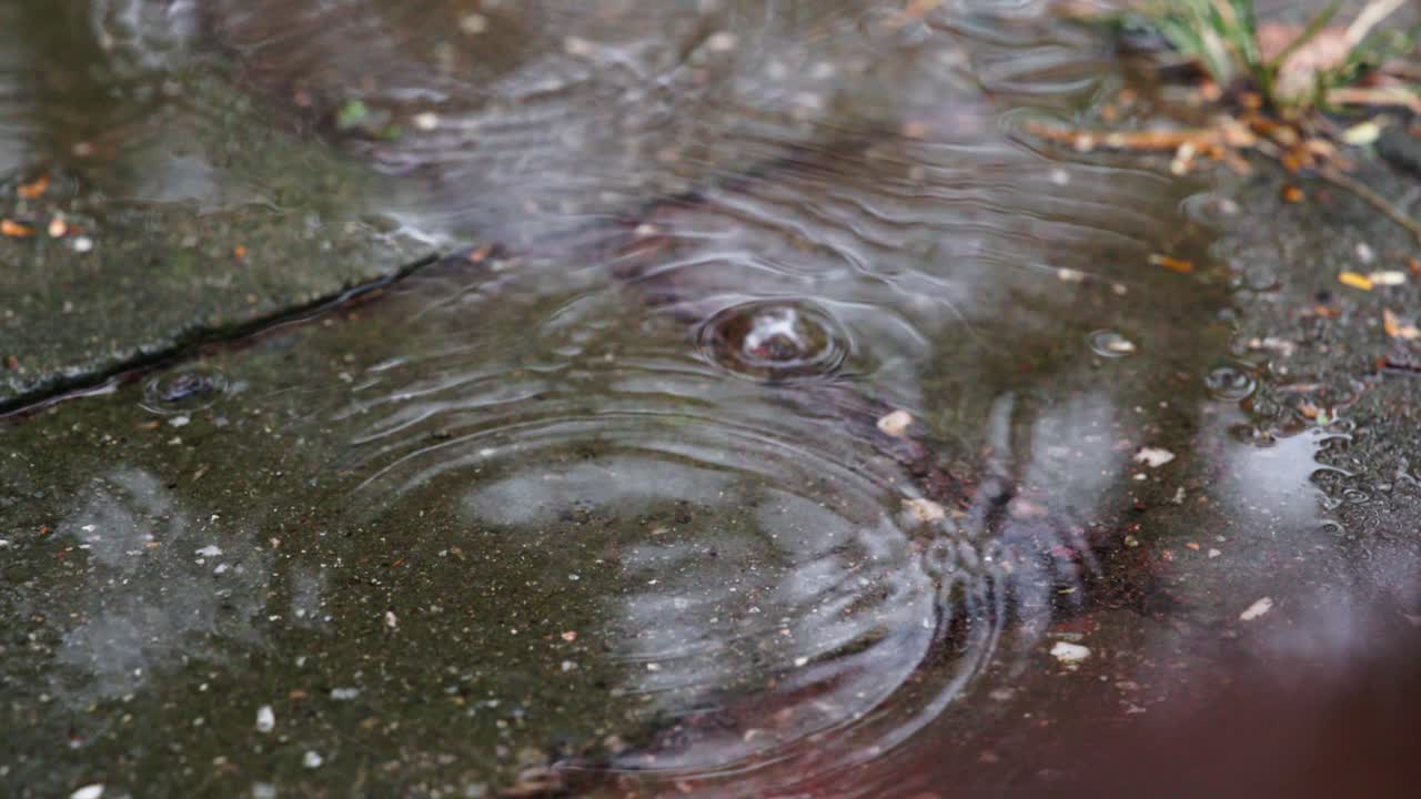 A delicate bubble drifts across a rain-formed puddle on stone tiles in slow motion, adding a playful element to a wet afternoon scene.