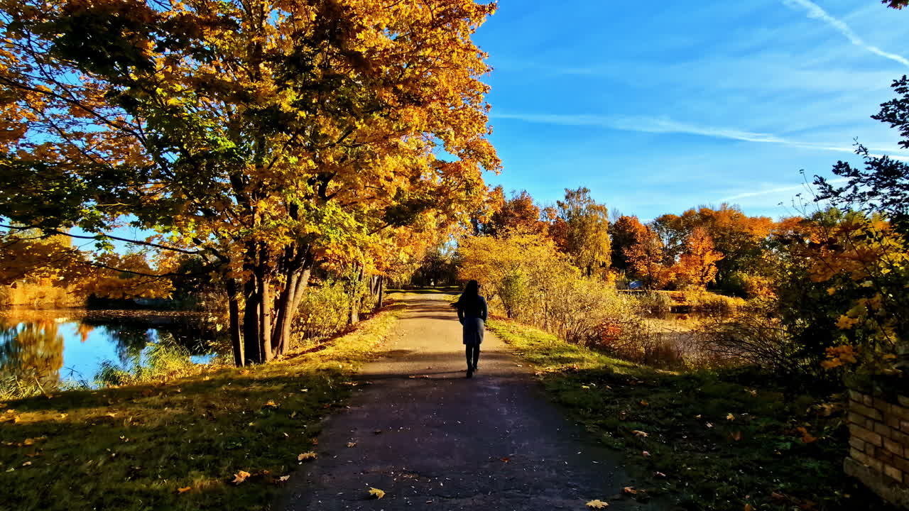 Person strolling by river in autumn Lielvarde, Latvia, serene morning