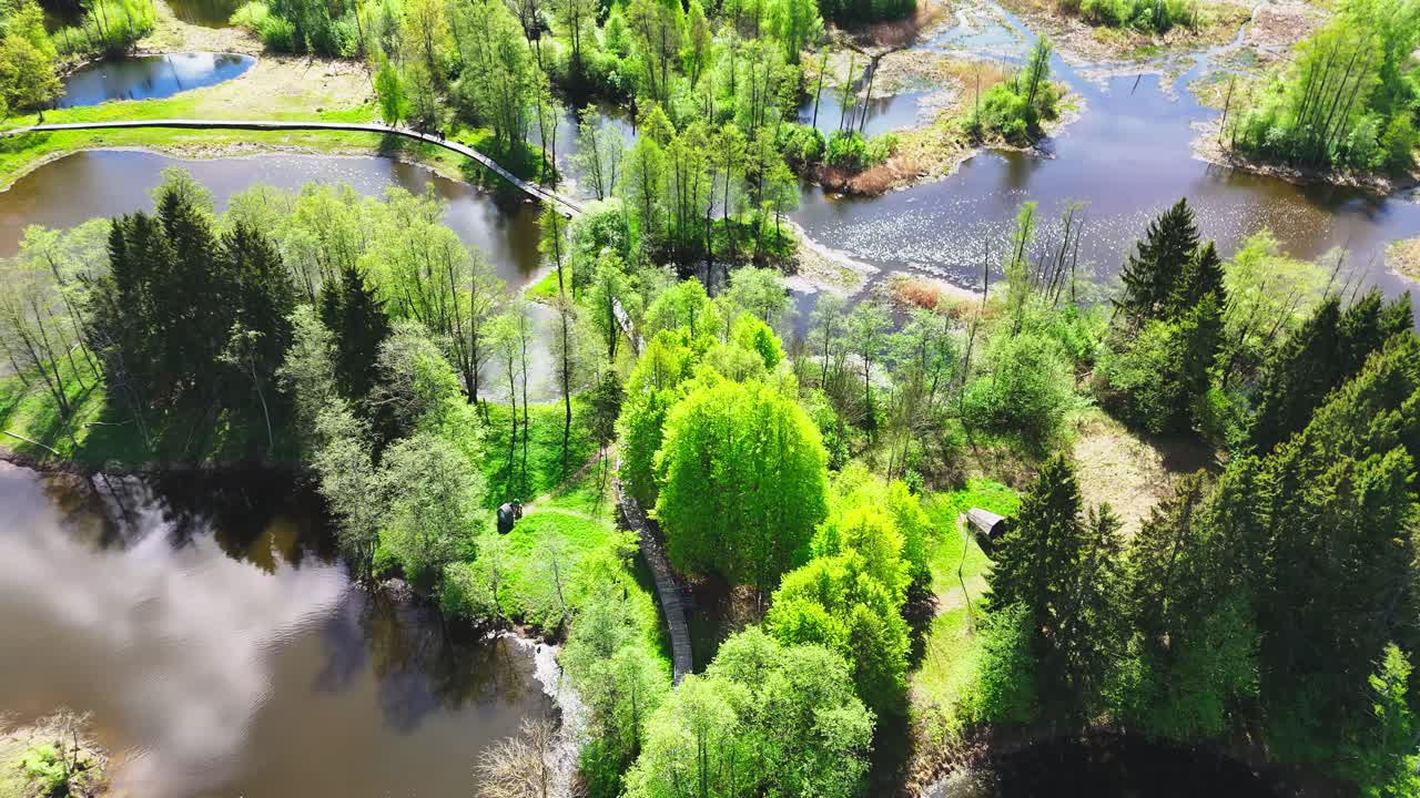 Aerial View Of Boardwalk Through The Trees In L a k e  Sirvena In Summer In Lithaunia.