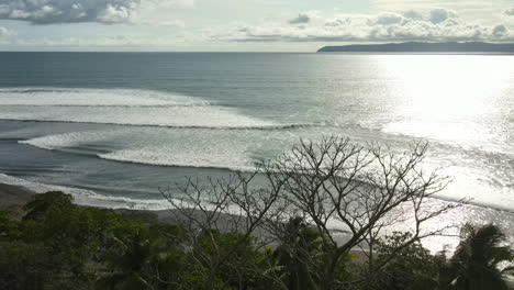 Un-Loro-Vívido-Levanta-El-Vuelo-Con-El-Telón-De-Fondo-Del-Fascinante-Océano-De-Costa-Rica