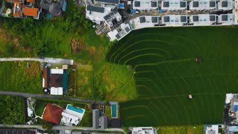 Cinematic-drone-footage-of-Berawa-beach-in-Canggu,-Bali-with-beautiful-landscape,-expensive-hotels,-rice-fields-and-villas-through-calm-weather