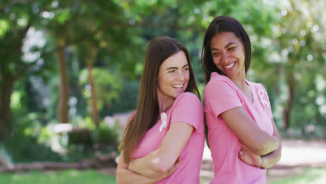 retrato de dos mujeres sonrientes diversas en camisetas rosas y cintas de cáncer, espalda a espalda en el parque