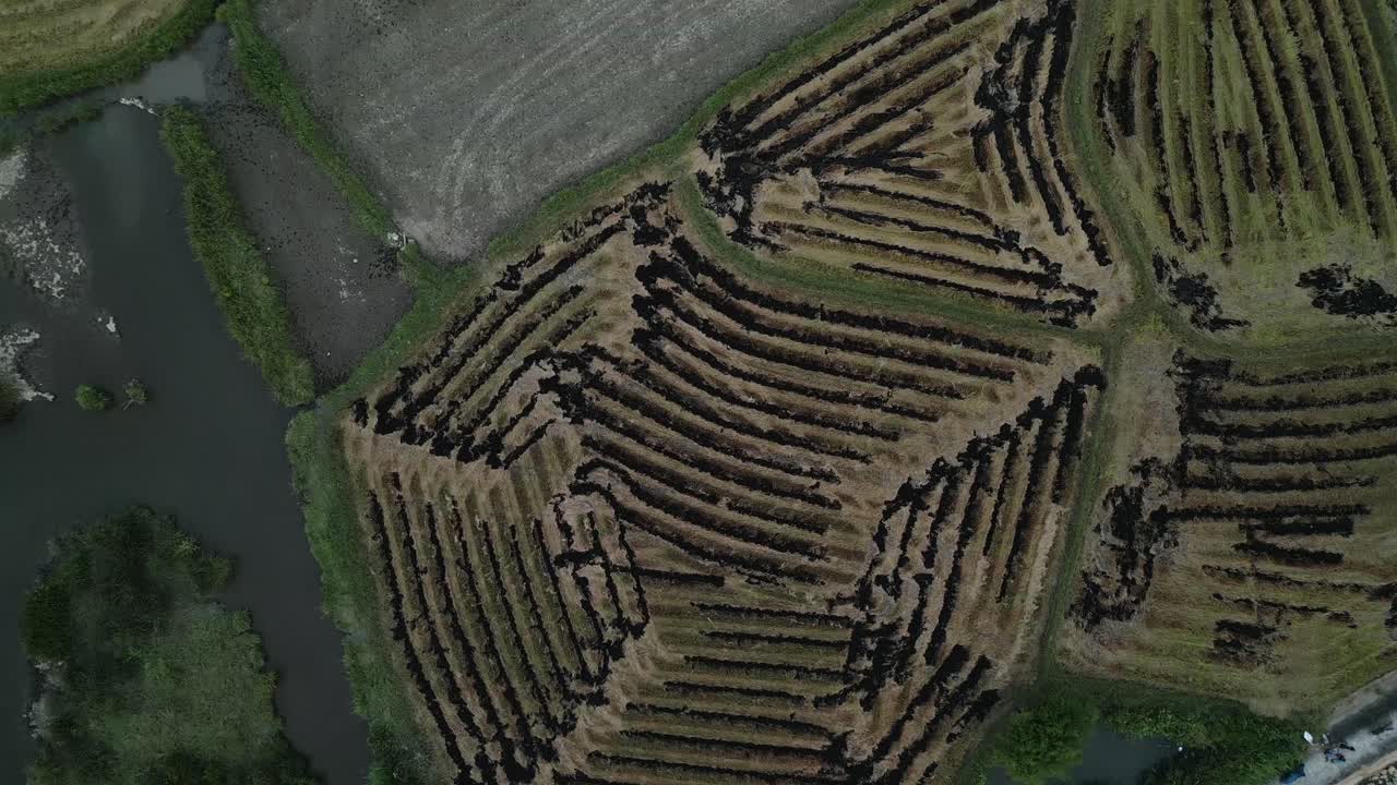 Aerial View of Agricultural Terraced Fields and Water Features