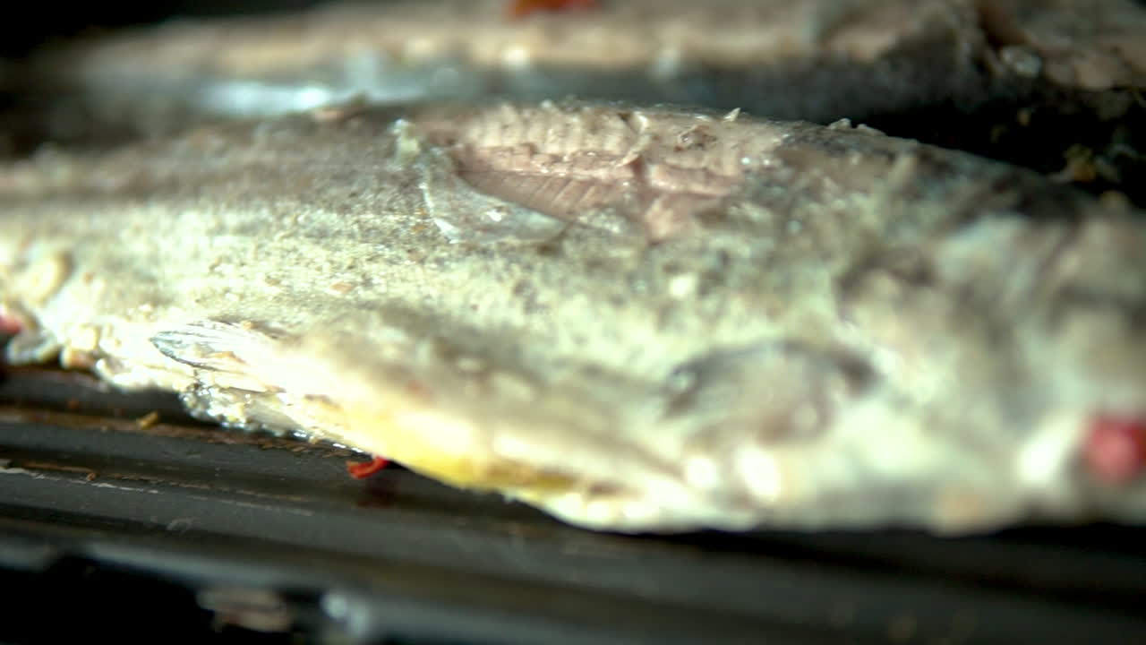 Close-up Rainbow trout in spices and vegetables grilled on an electric grill, delicious home made food