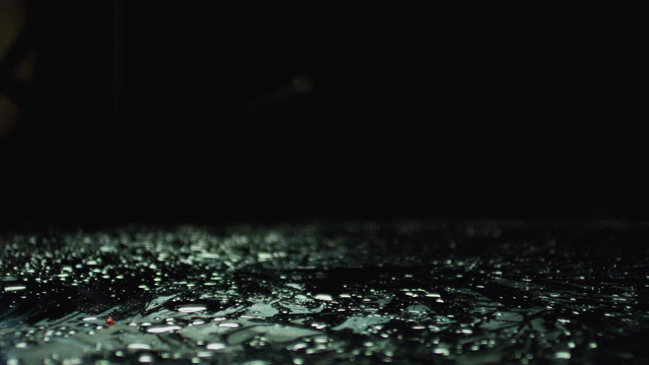 그나나나 나무는 땅에 떨어지고 그 씨은 어집니다.