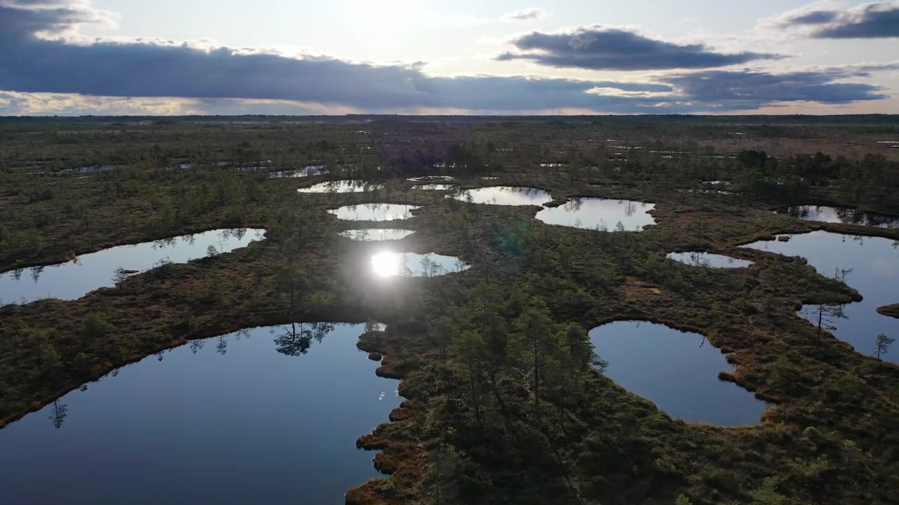 Filmagem de drone deslumbrante de um pântano tradicional da Estônia. A cena mostra poças de água azul cristalina refletindo o céu, cercadas por musgo dourado de outono e uma densa floresta de pinheiros perenes ao pôr do sol.