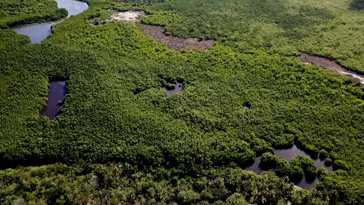 Crystal clear water and mangrove filmed with a drone, Port Louis Guadeloupe