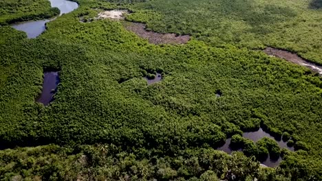 Crystal-clear-water-and-mangrove-filmed-with-a-drone,-Port-Louis-Guadeloupe