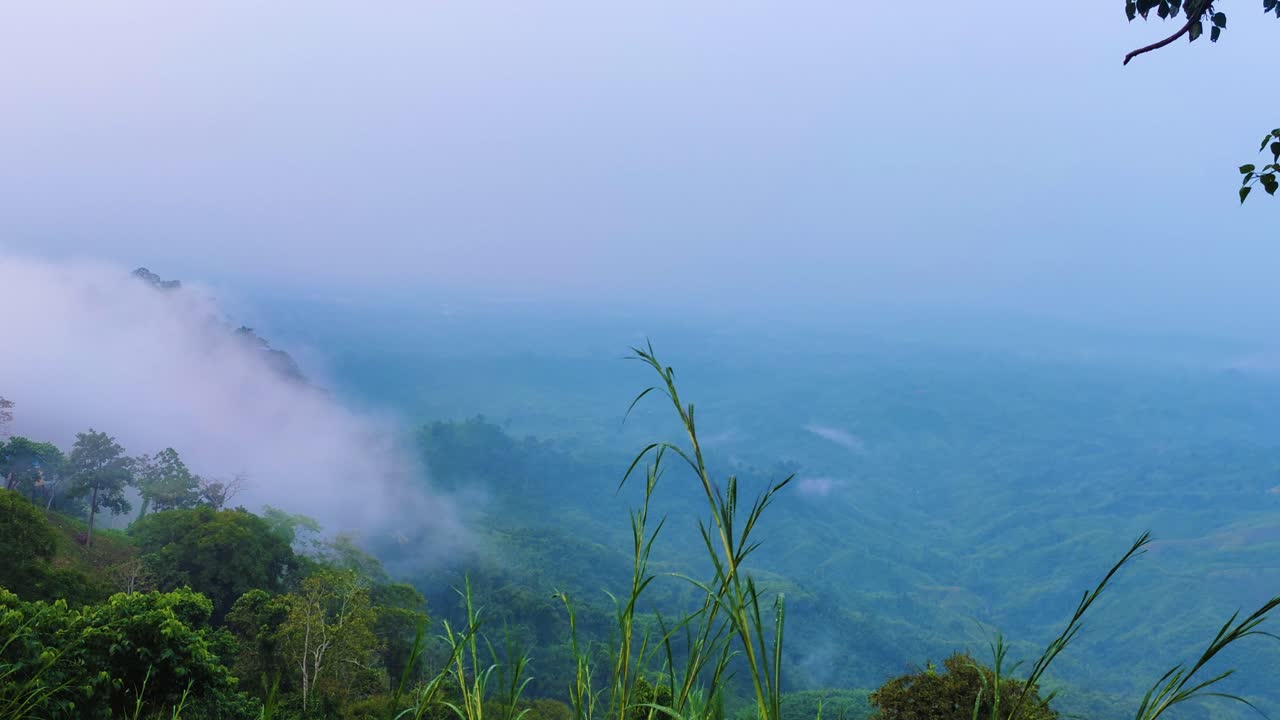 방글라데시의 임업 산 위로 구르는 구름, 변덕스러운 안개 낀 날