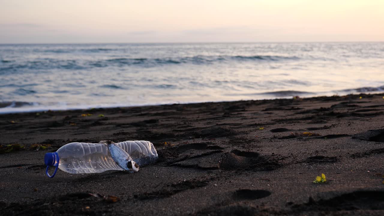 cuando el sol se pone cerca del horizonte, se ven en la arena un pez muerto y una botella de plástico desechada
