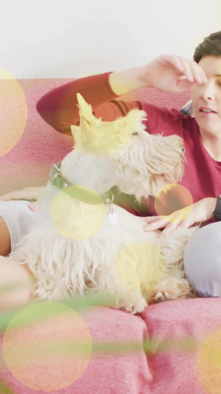 Video verticale: Donna a destra che accarezza un cane su un divano rosa, per la cura degli animali, con effetto bokeh intorno al cane.