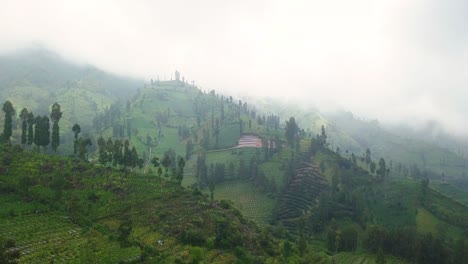 Reveal-drone-shot-of-plantation-on-the-slope-of-mountain-shrouded-by-thick-fog