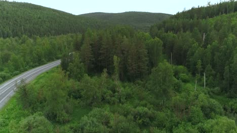 forest road landscape