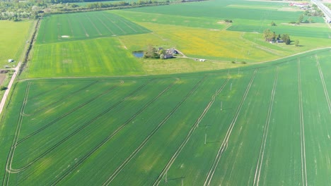 lonely farmstead surrounded with endless agriculture fields, aerial view