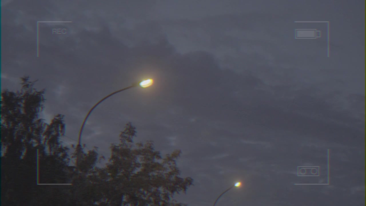 Night Scene with Streetlights and Trees