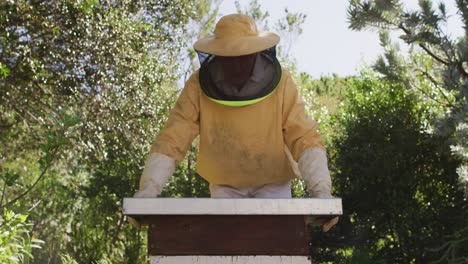 caucasian male beekeeper in protective clothing opening beehive