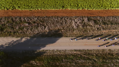 Aerial-of-large-group-of-cyclist-racing-along-dirt-road-in-rural-Australia