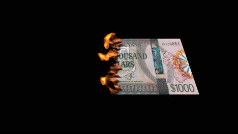 burning guyanese 1000 dollar bill
