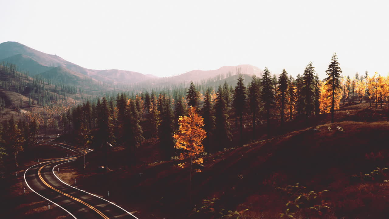 camino panorámico a través del bosque de otoño