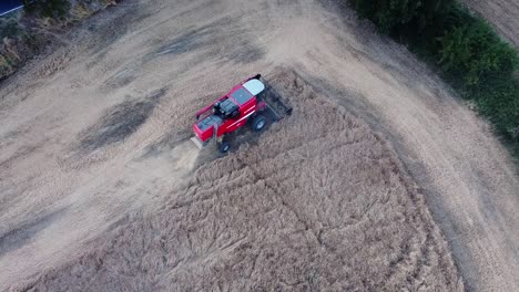 harvest-season-in-a-field-of-the-Italian-countryside,-wheat-threshing