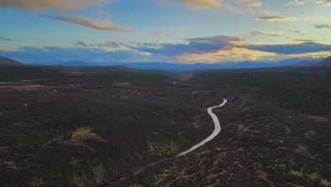 o'donnell river twisting along green forest landscape