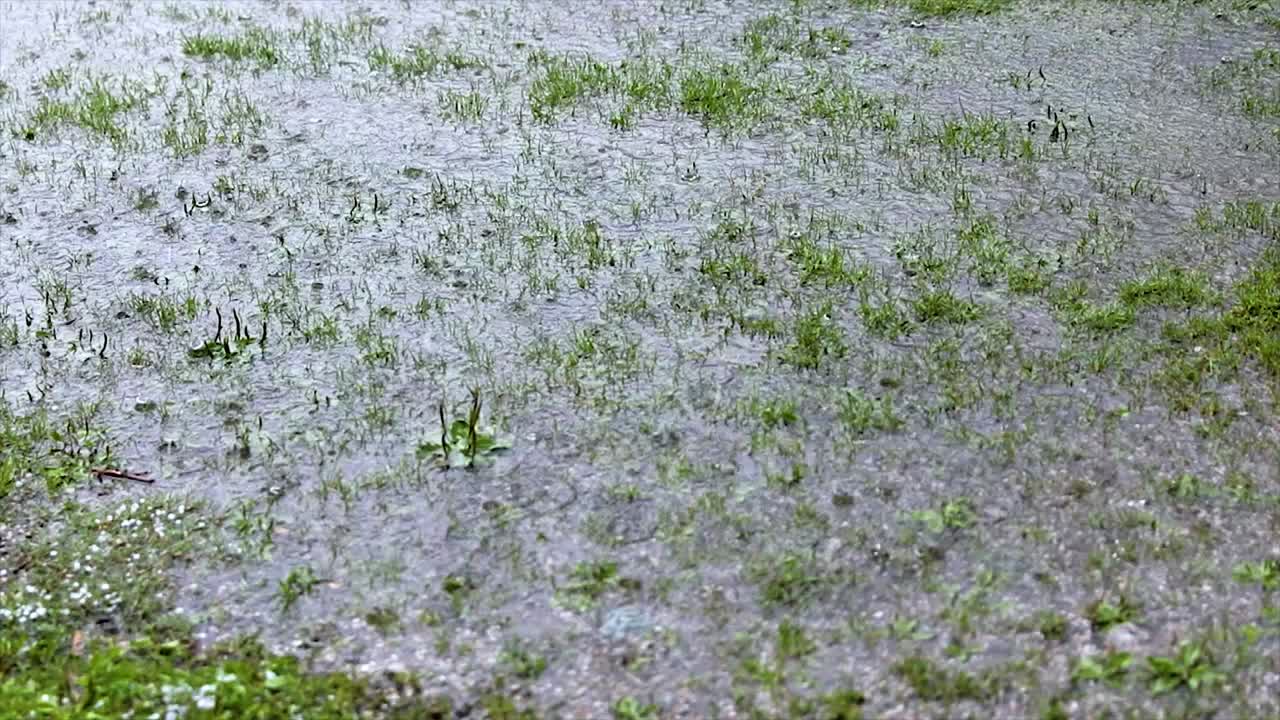 추상적인 배경, 물 위에  ⁇ 방울