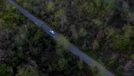 Disparo-De-Un-Dron-Tras-Un-Coche-Blanco-Conduciendo-Por-El-Bosque-Cerca-De-Merida-Mexico