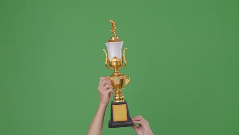 hands holding a trophy against a green screen