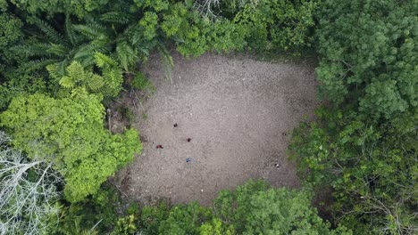 Blick-Aus-Der-Luft-Nach-Unten,-Kinder-Spielen-Fußball