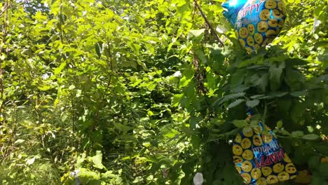 Several-Mylar-balloons-trapped,-snagged-in-a-tree,-sad,-happy-birthday,-deflated,-wind-blowing