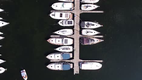 docked modern yachts in small local pier, aerial top down view