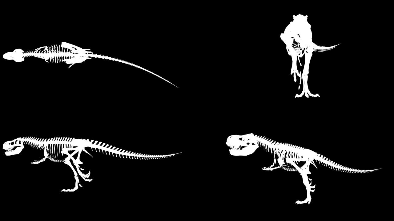 트렉스 스레톤 러닝 사이클, 3d 애니메이션 루프, 알파 채널