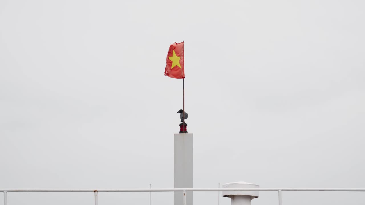 pájaro cuervo negro bajo la bandera vietnamita ondeando con el viento