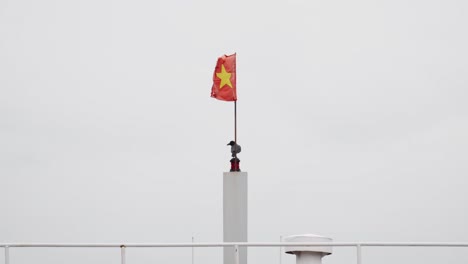 black crow bird under the vietnamese flag waving with the wind