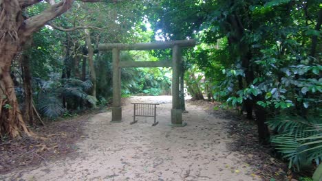 torii escondido en medio del parque nacional rural