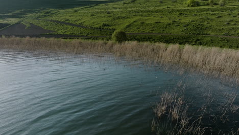 shoreline of a calm tabatskuri lake, a natural habitat for the velvet duck