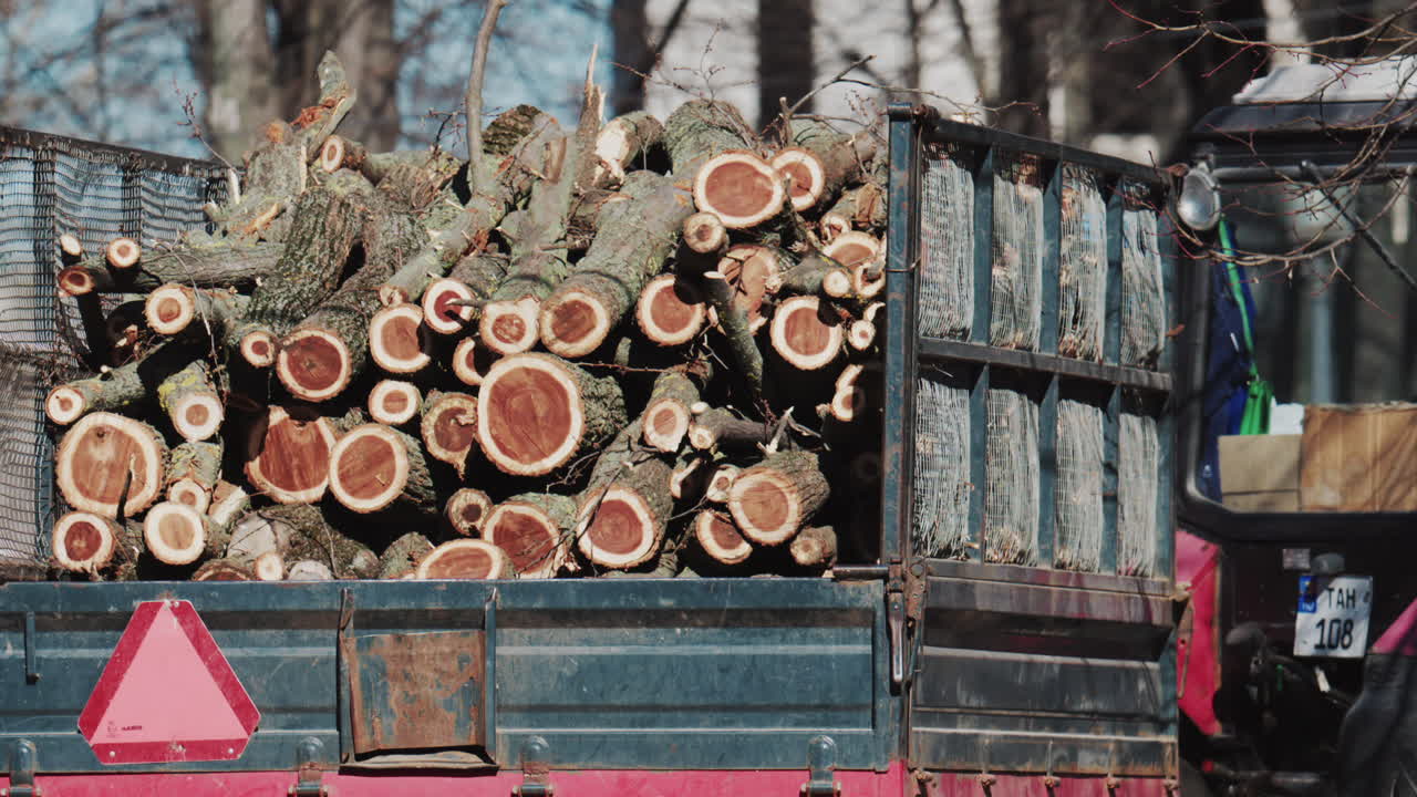 Wide shot of a trailer filled with logs moving through a park on a sunny day
