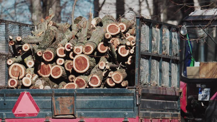 Wide shot of a trailer filled with logs moving through a park on a sunny day