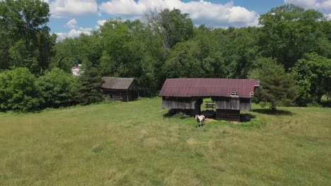 Alte-Appalachia-Scheune-Und-Pferd-Im-Museum-Of-Appalachia